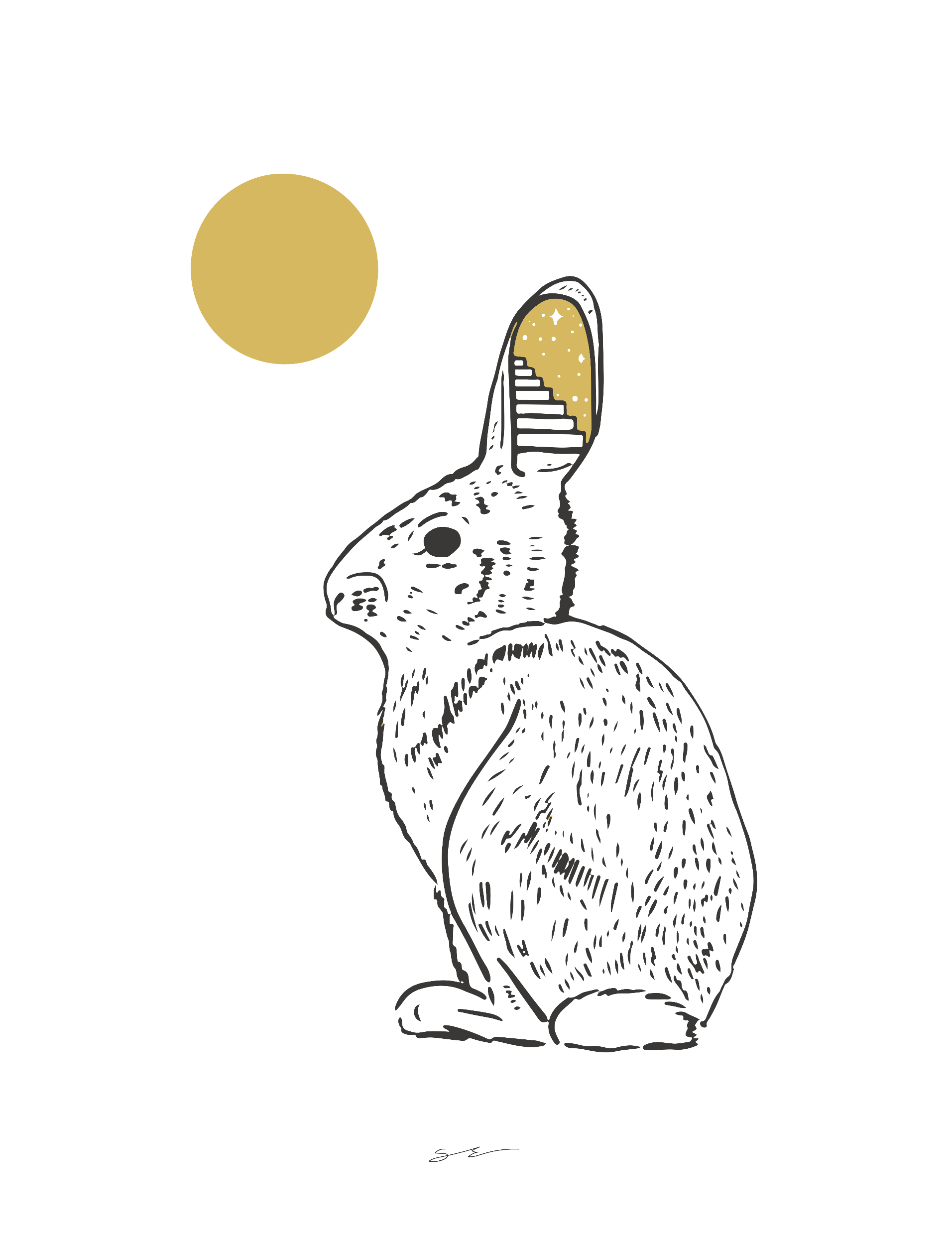 Doorway - Rabbit