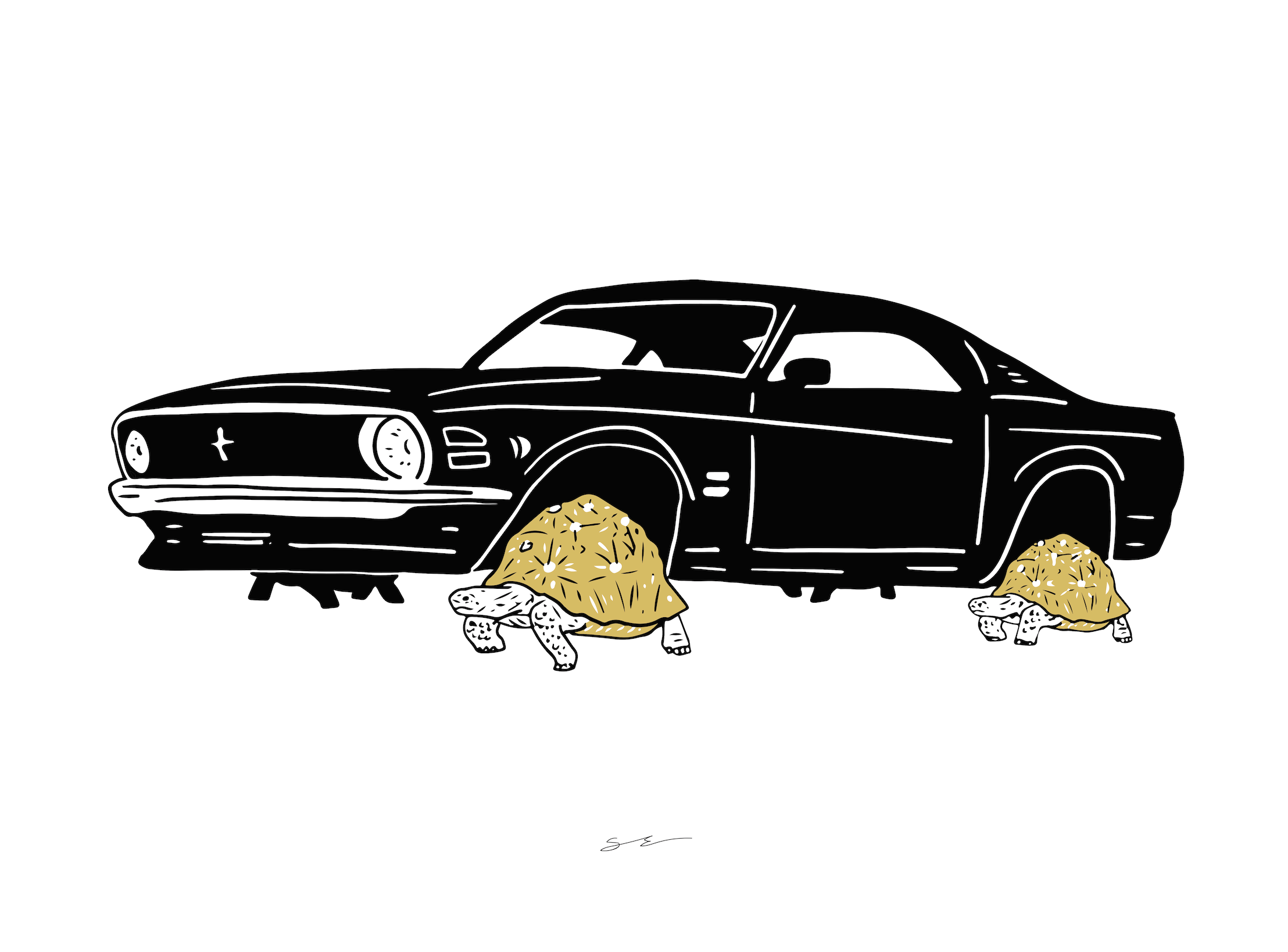 Grace for Your Pace - Tortoise Muscle Car
