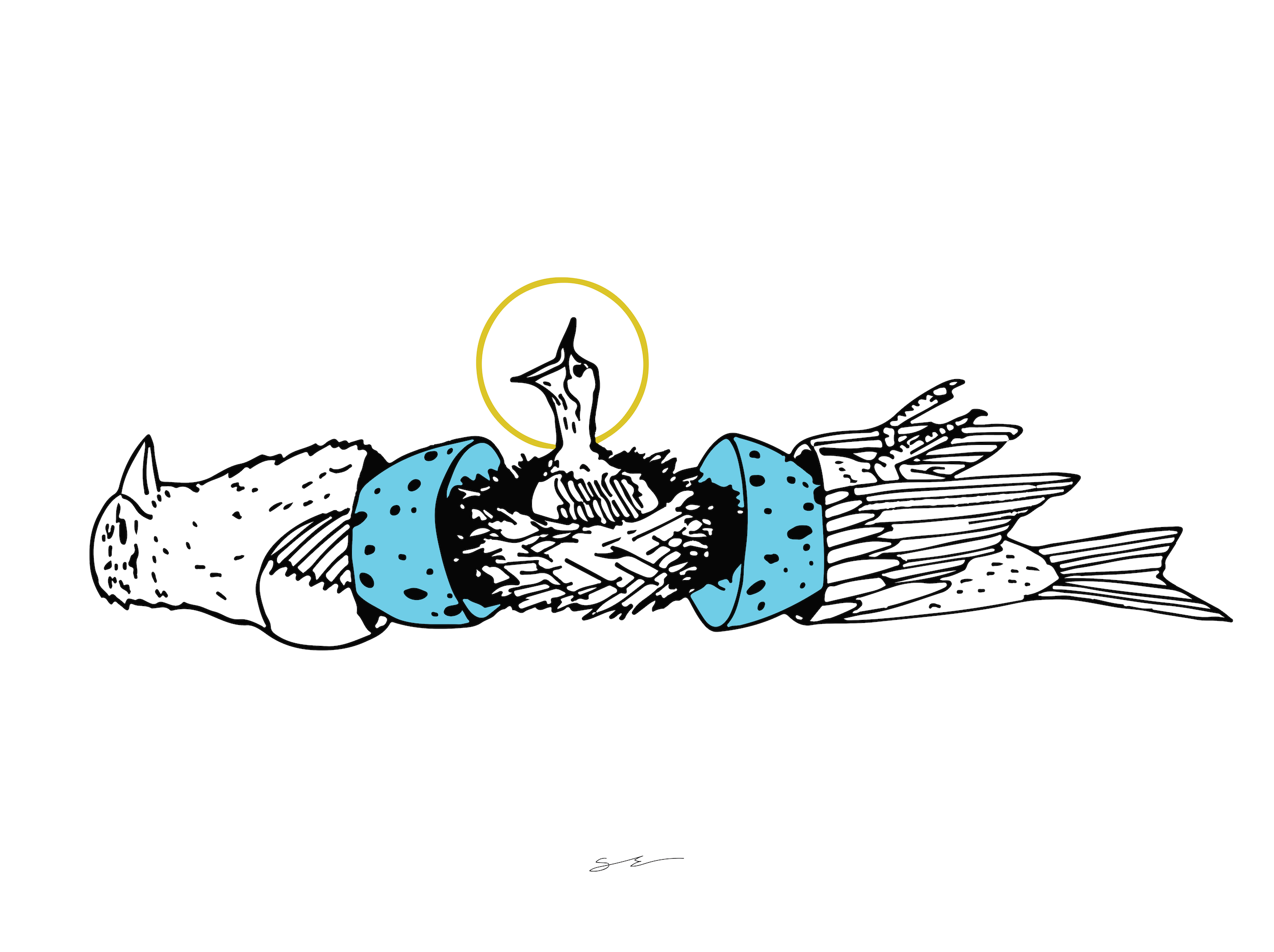 Bird Song