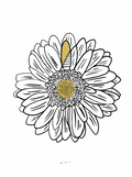 Doorway - Flower