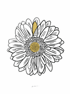Doorway - Flower