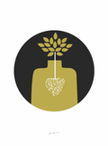 Rooted Self