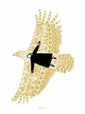 Soar