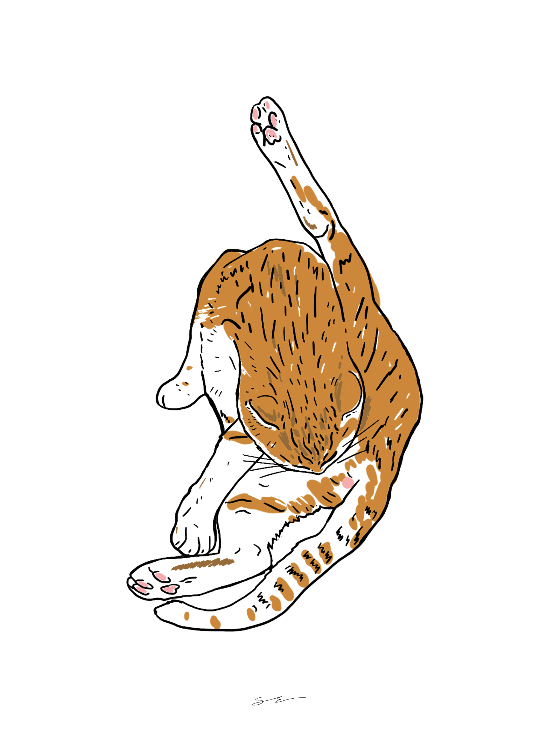 Cat Self Care