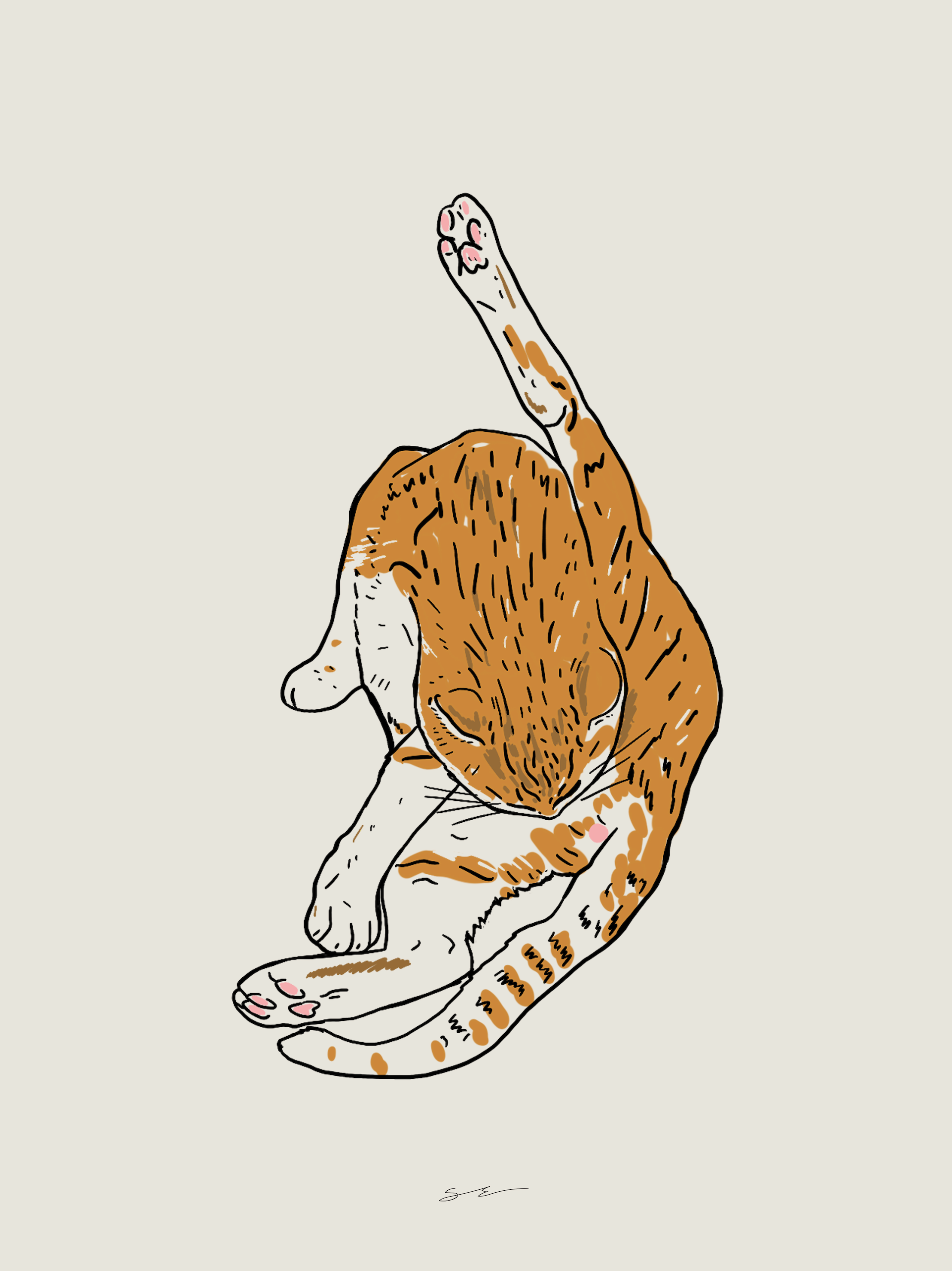 Cat Self Care
