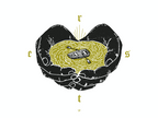Sabbath Rest Icon