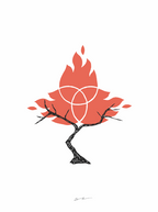 Burning Bush
