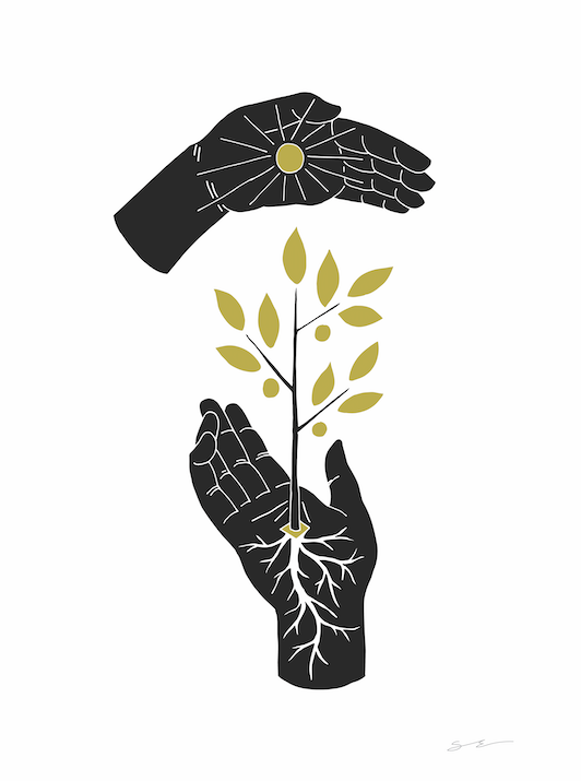 Identity Rooted