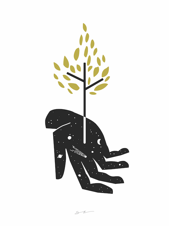 Rooted
