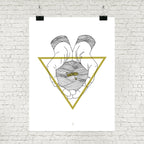 Be Not Afraid - Trinity