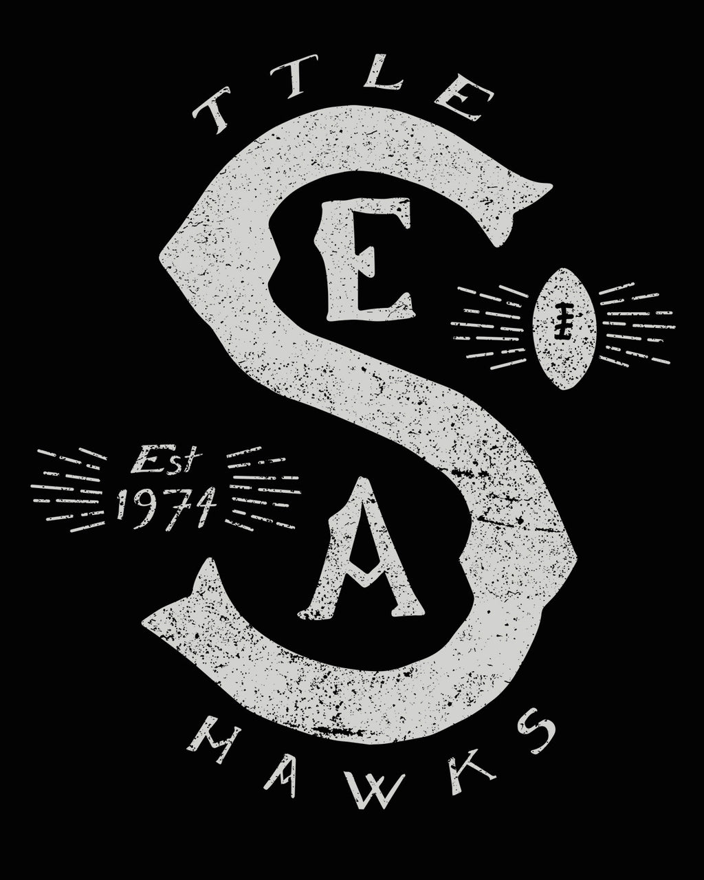 SEA | ttle | hawks TEE