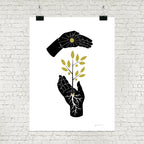 Identity Rooted